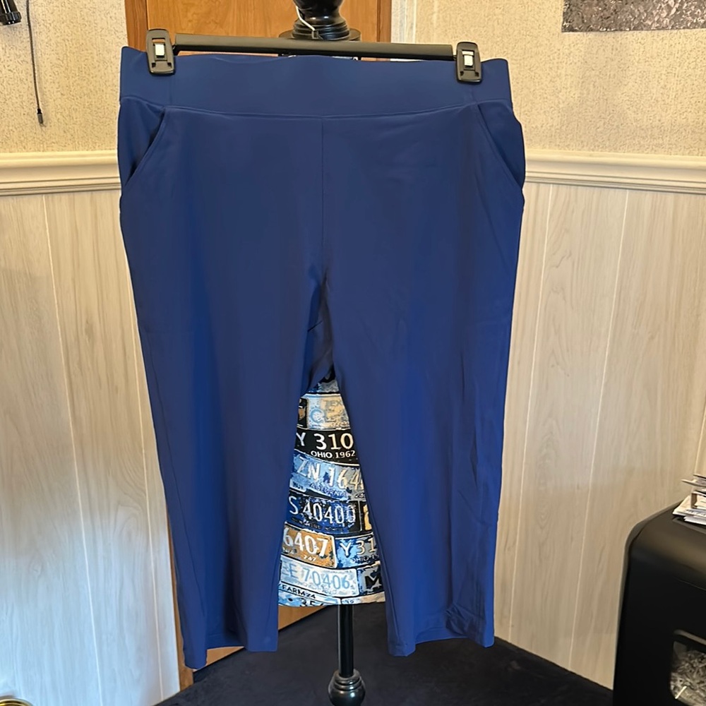 Blue Cropped Pants